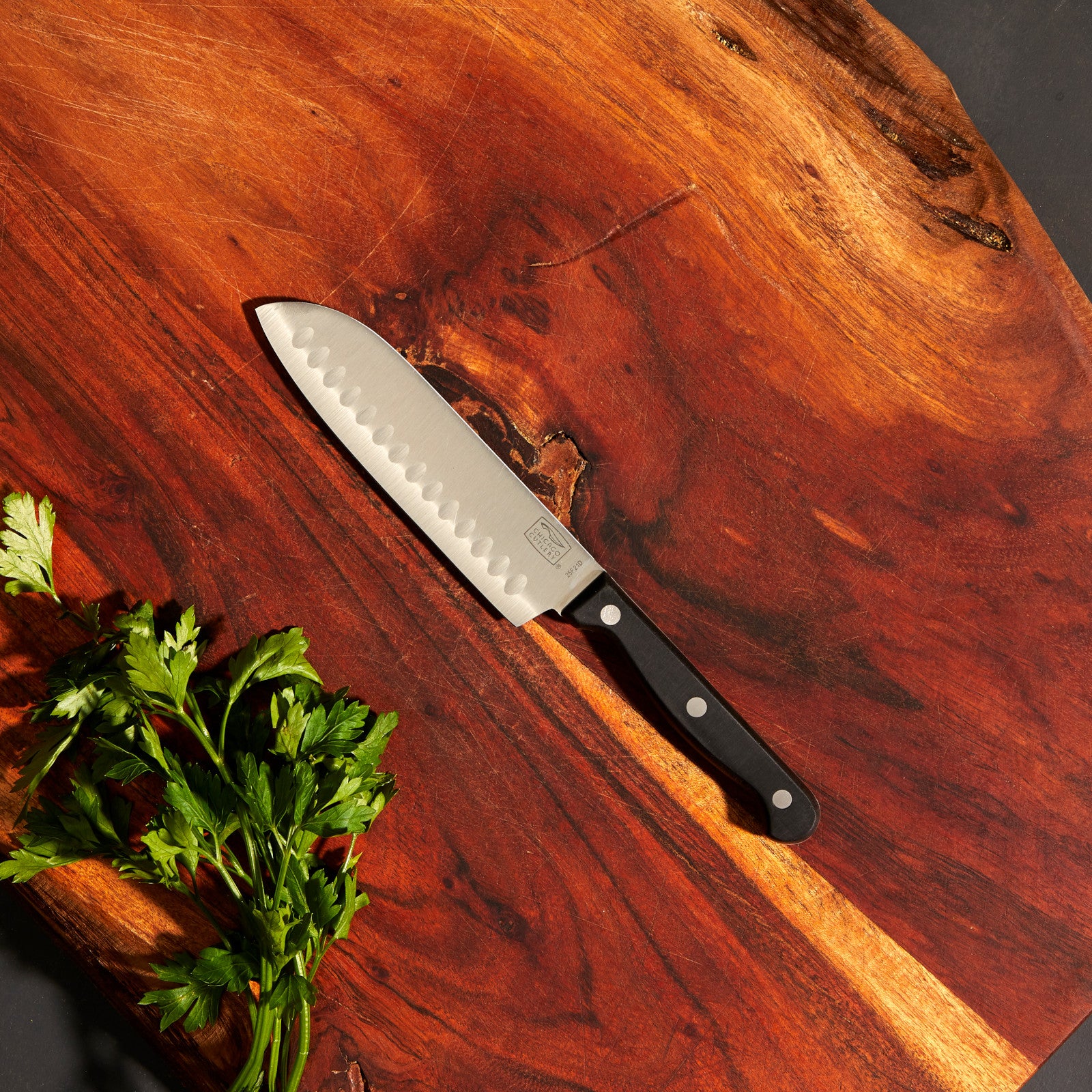 CC_1092193_Essentials_Partoku_Lifestyle_Square_2